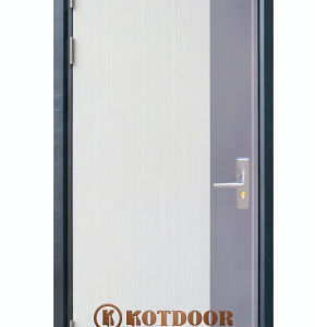 Cửa thép vân gỗ Deluxe KD-1.06