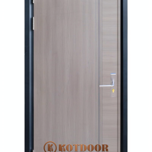 Cửa thép vân gỗ Deluxe KD-1.10