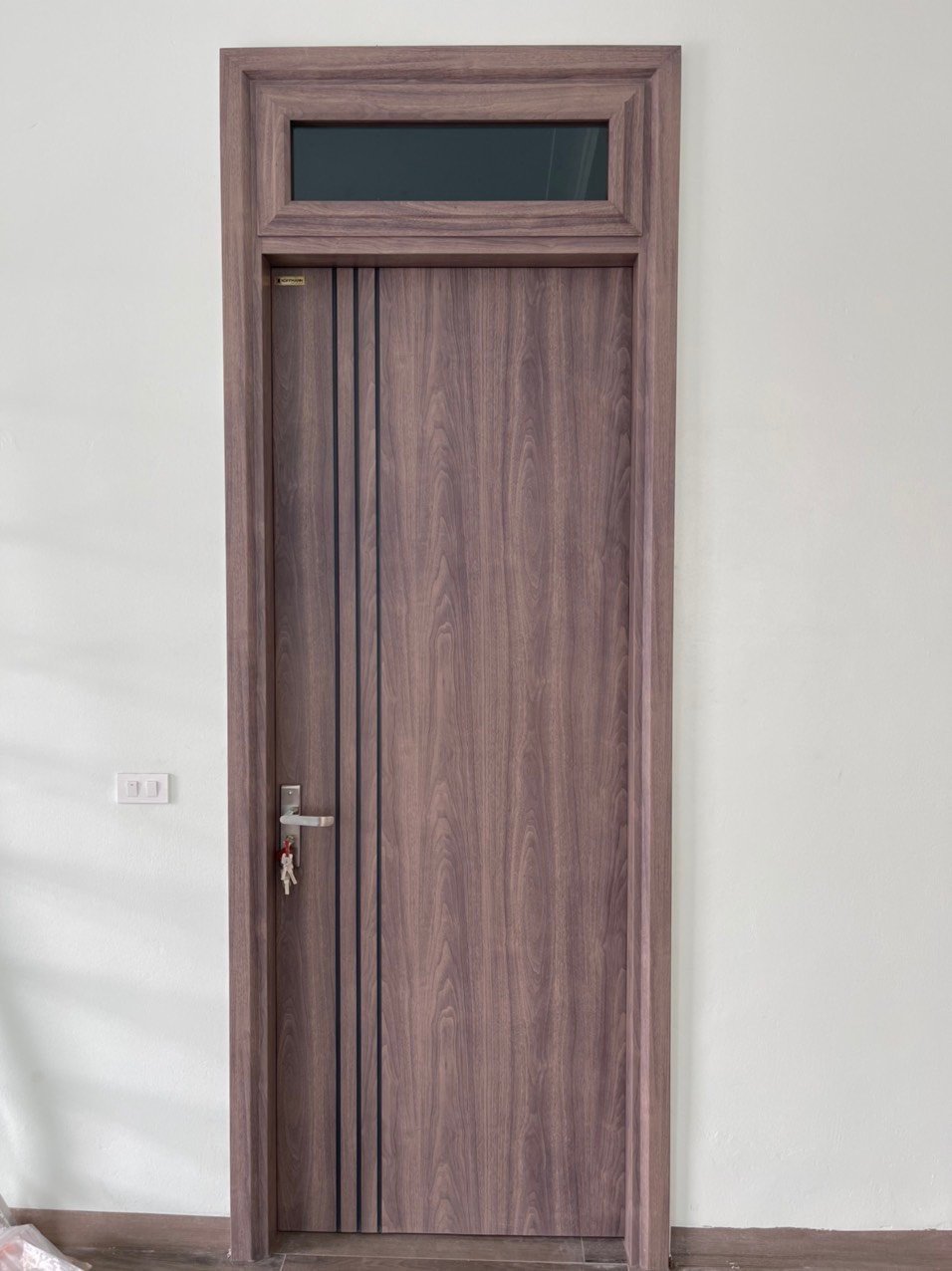 Mẫu cửa 1 cánh - Giá cửa thép vân gỗ tại quận 12